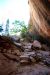 2013-06-01, 021, Sipapu Bridge Trail, Natural Bridges NM, UT