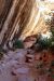 2013-06-01, 022, Sipapu Bridge Trail, Natural Bridges NM, UT