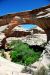 2013-06-01, 038, Sipapu Bridge Trail, Natural Bridges NM, UT