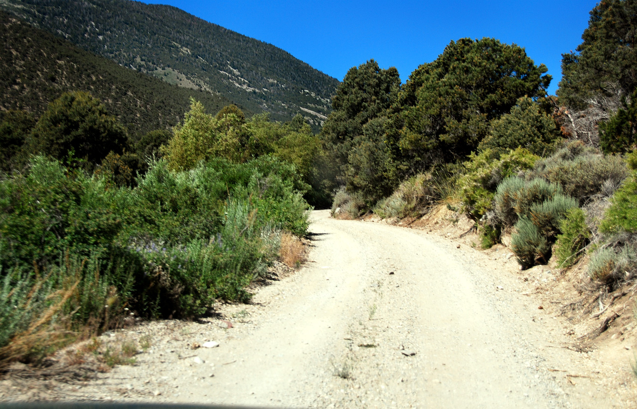 2013-06-26, 002, Strawberry Creek Road, NV