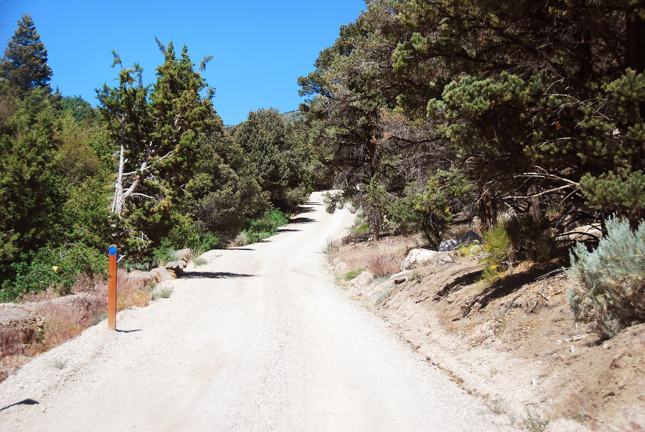 2013-06-26, 003, Strawberry Creek Road, NV