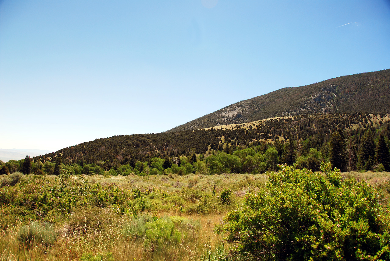 2013-06-26, 009, Strawberry Creek Road, NV