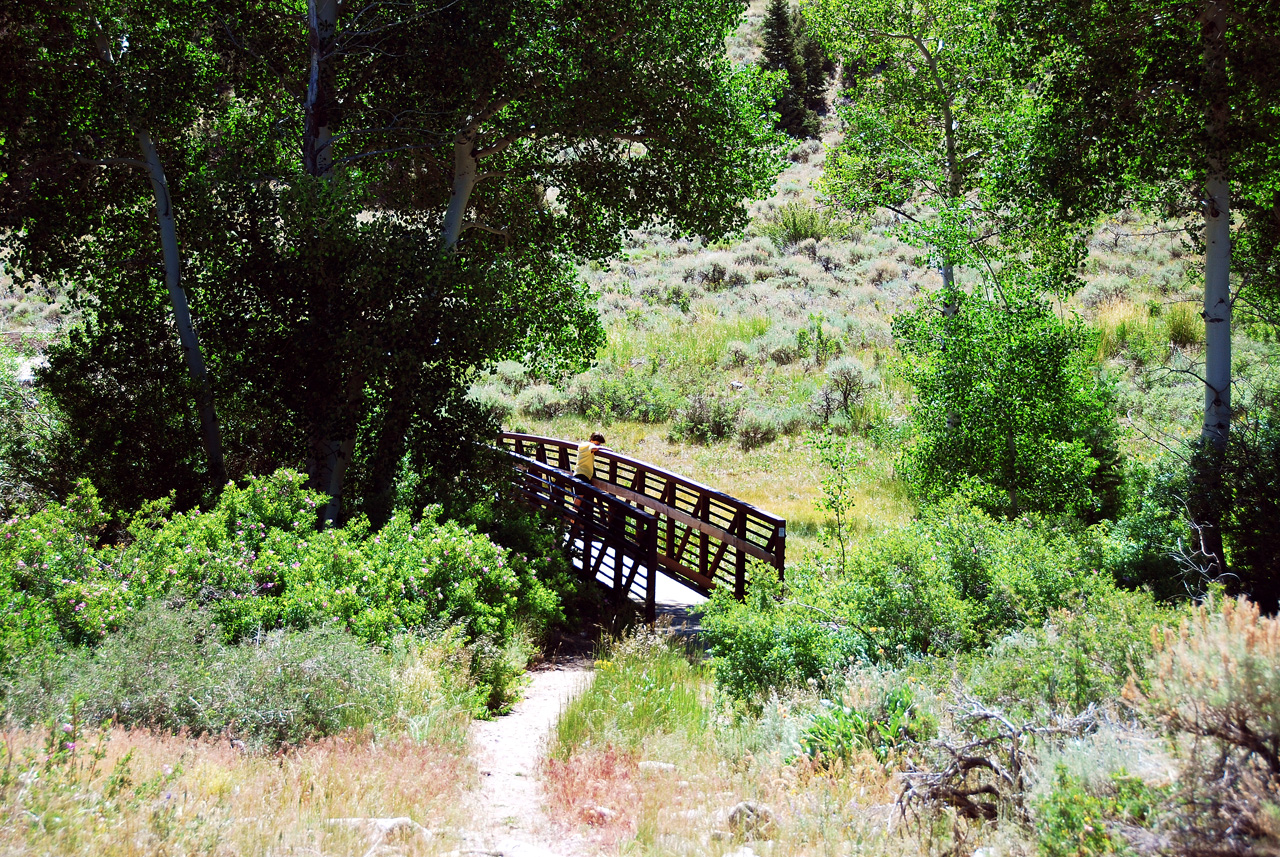 2013-06-26, 013, Strawberry Creek Road, NV