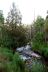 2013-06-22, 005, Great Basin NP, NV