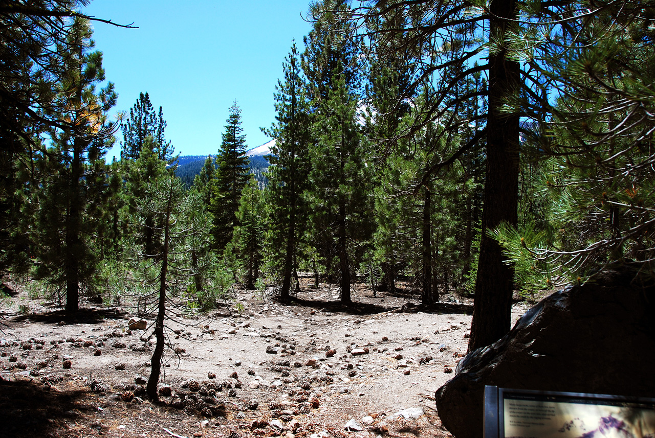 2013-06-30, 014, Devastated Area, CA