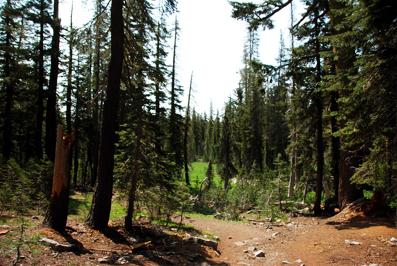 2013-07-01, 002, Kings Creek Falls, CA