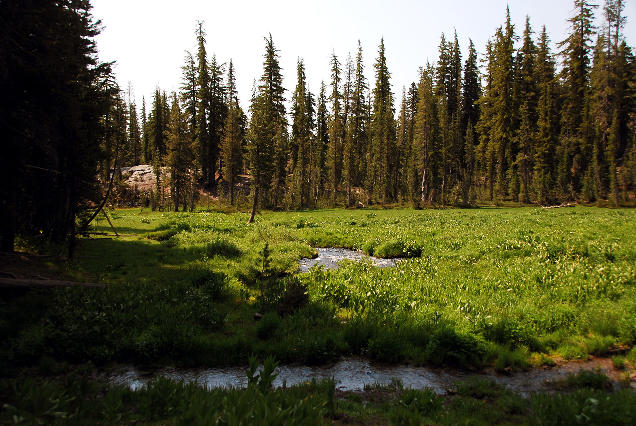 2013-07-01, 004, Kings Creek Falls, CA