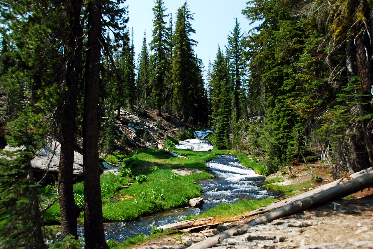 2013-07-01, 017, Kings Creek Falls, CA