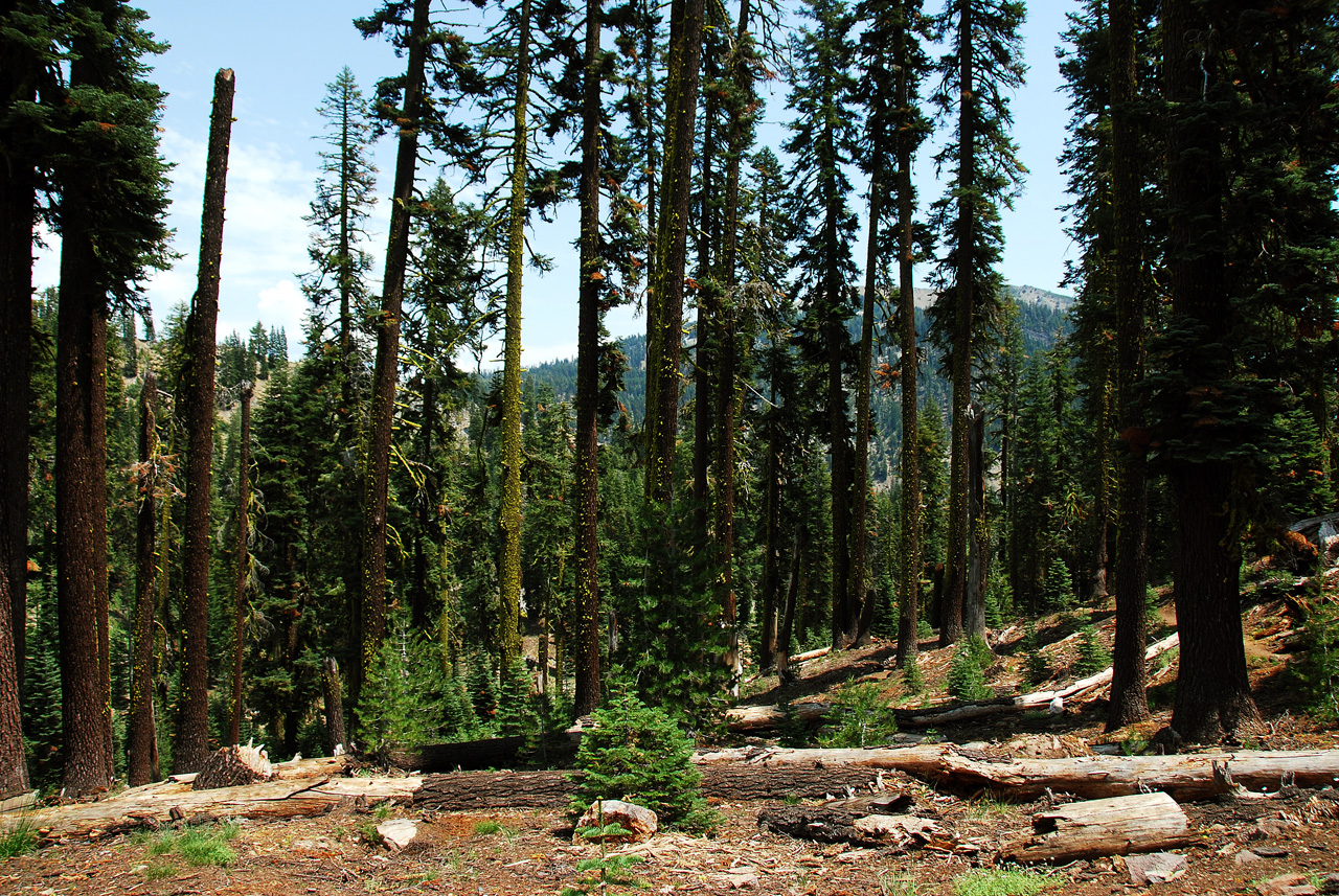 2013-07-02, 001, Mill Creek Falls Trail, CA