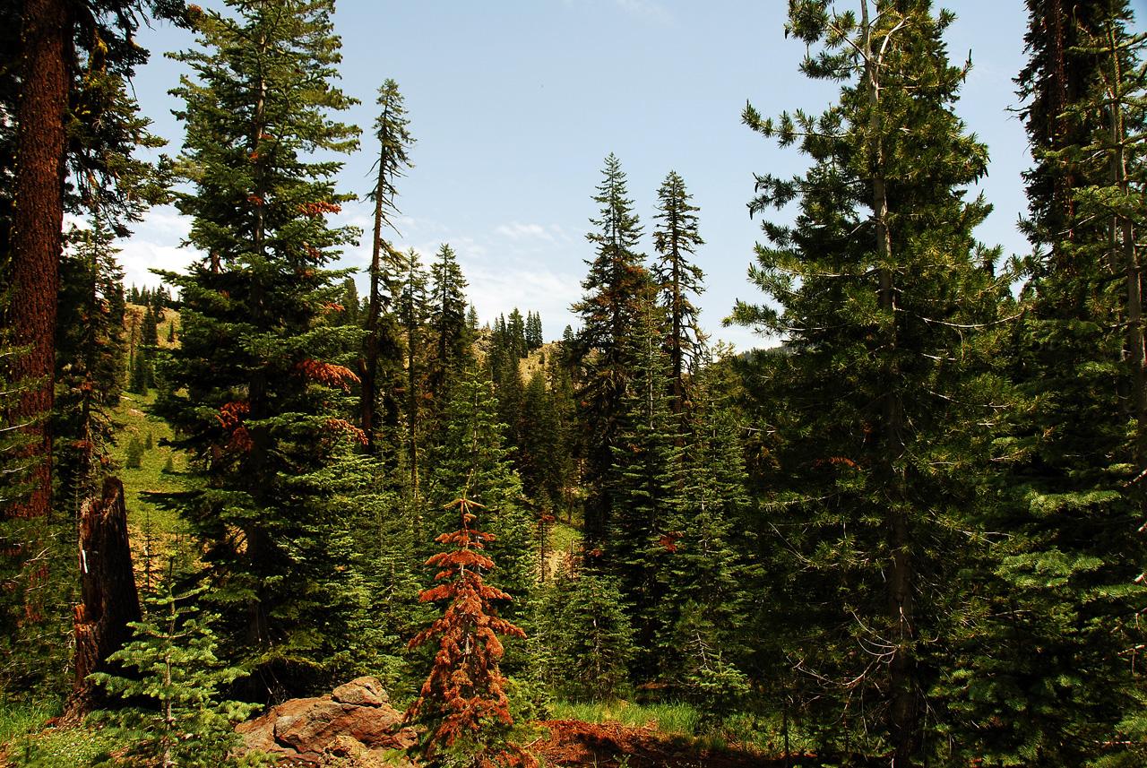 2013-07-02, 002, Mill Creek Falls Trail, CA