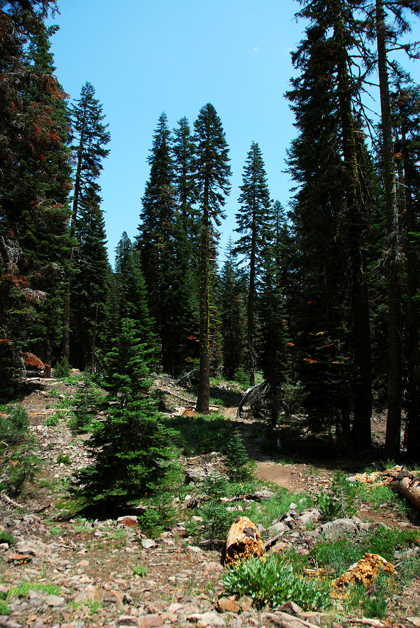 2013-07-02, 009, Mill Creek Falls Trail, CA