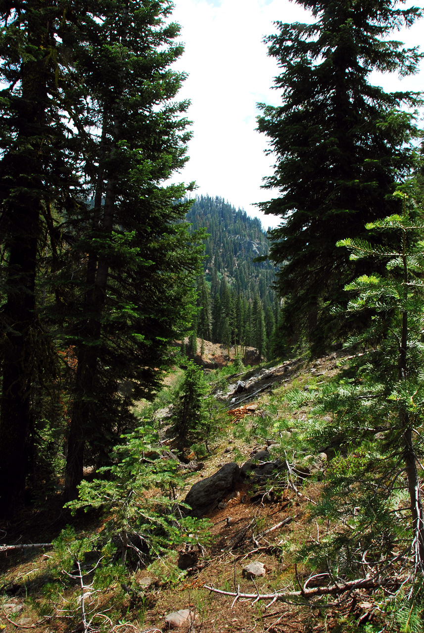2013-07-02, 019, Mill Creek Falls Trail, CA