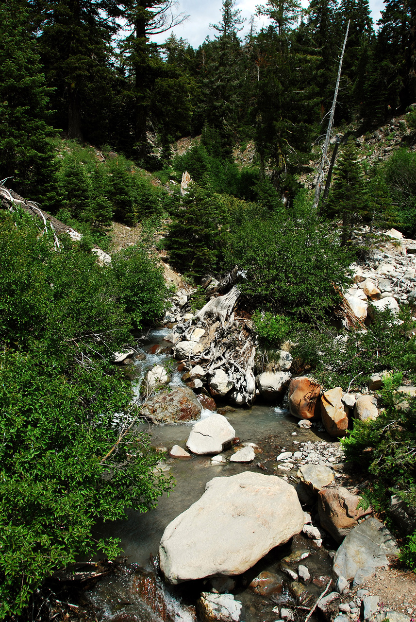 2013-07-02, 024, Mill Creek Falls Trail, CA