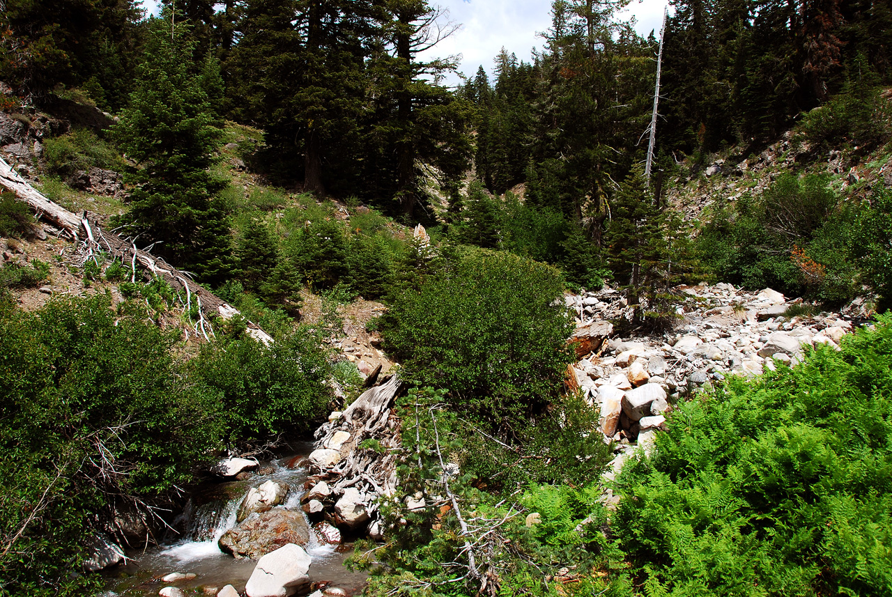 2013-07-02, 025, Mill Creek Falls Trail, CA