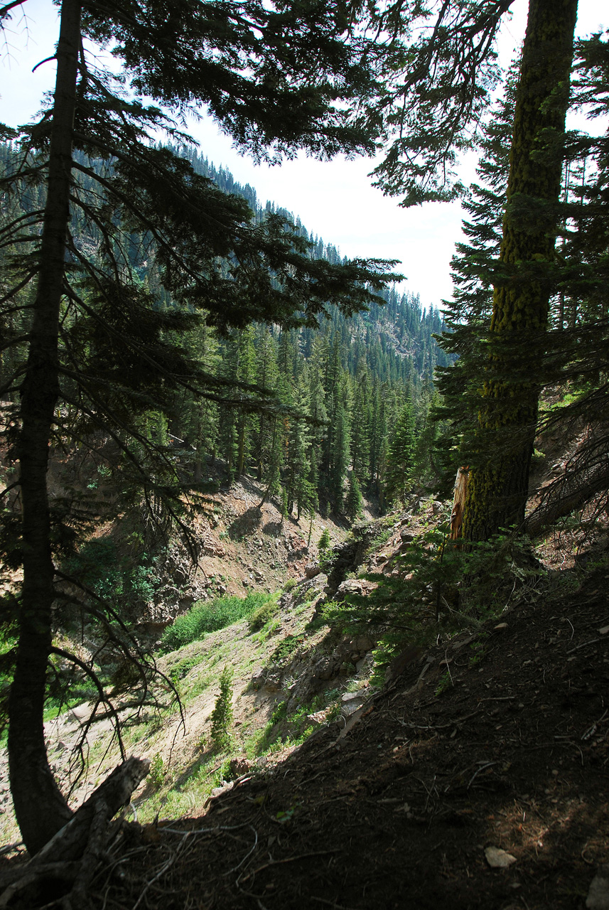 2013-07-02, 037, Mill Creek Falls Trail, CA