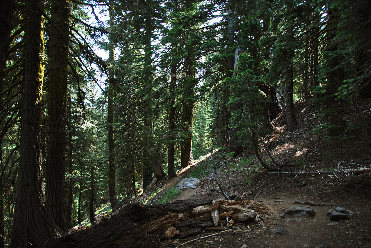 2013-07-02, 038, Mill Creek Falls Trail, CA