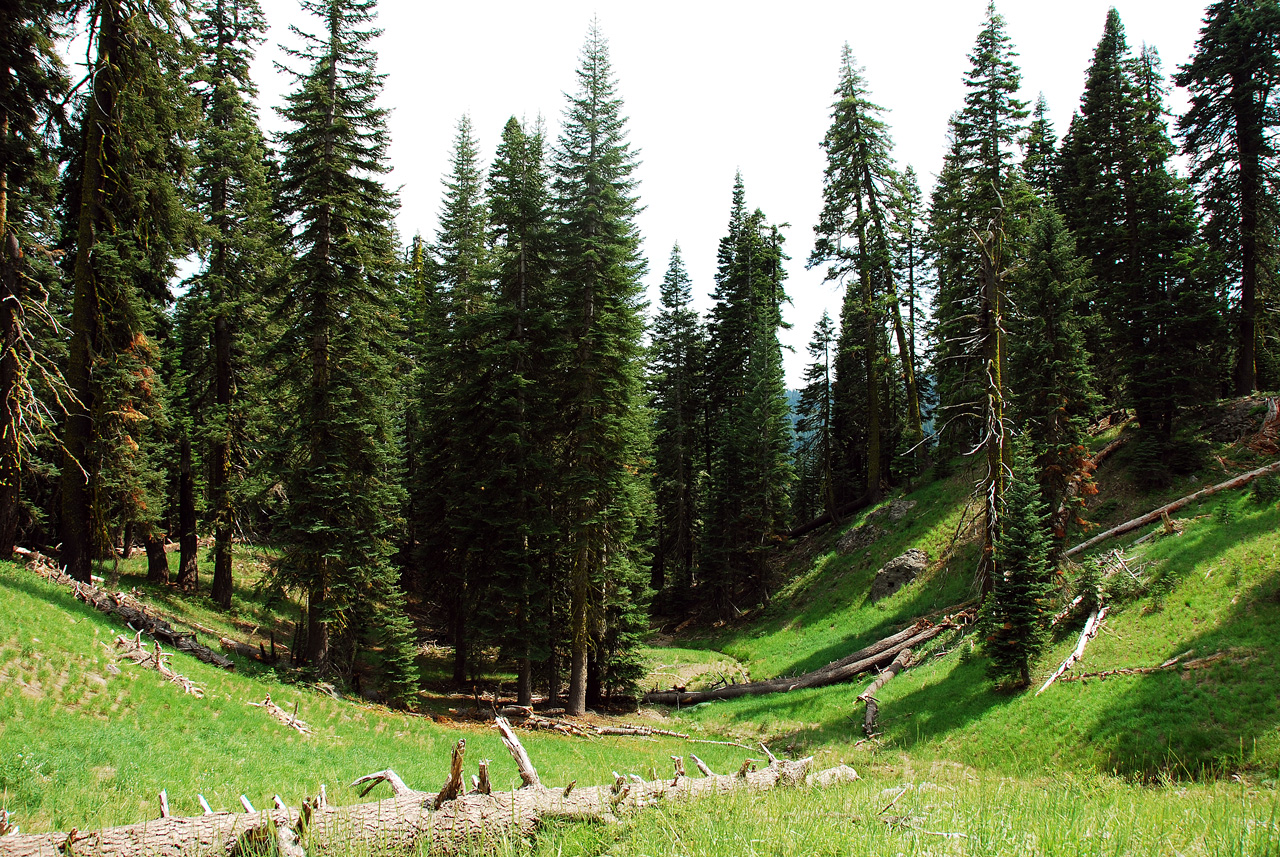 2013-07-02, 041, Mill Creek Falls Trail, CA