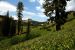 2013-07-02, 004, Mill Creek Falls Trail, CA