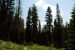 2013-07-02, 007, Mill Creek Falls Trail, CA