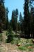 2013-07-02, 009, Mill Creek Falls Trail, CA