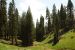 2013-07-02, 012, Mill Creek Falls Trail, CA