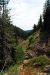 2013-07-02, 027, Mill Creek Falls Trail, CA