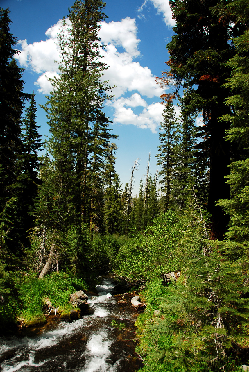 2013-06-30, 007, Paradise Meadow, CA