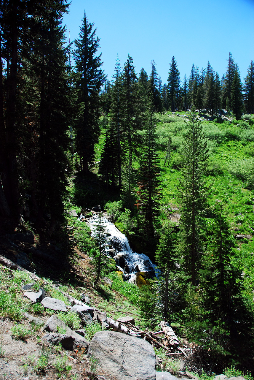 2013-06-30, 009, Paradise Meadow, CA