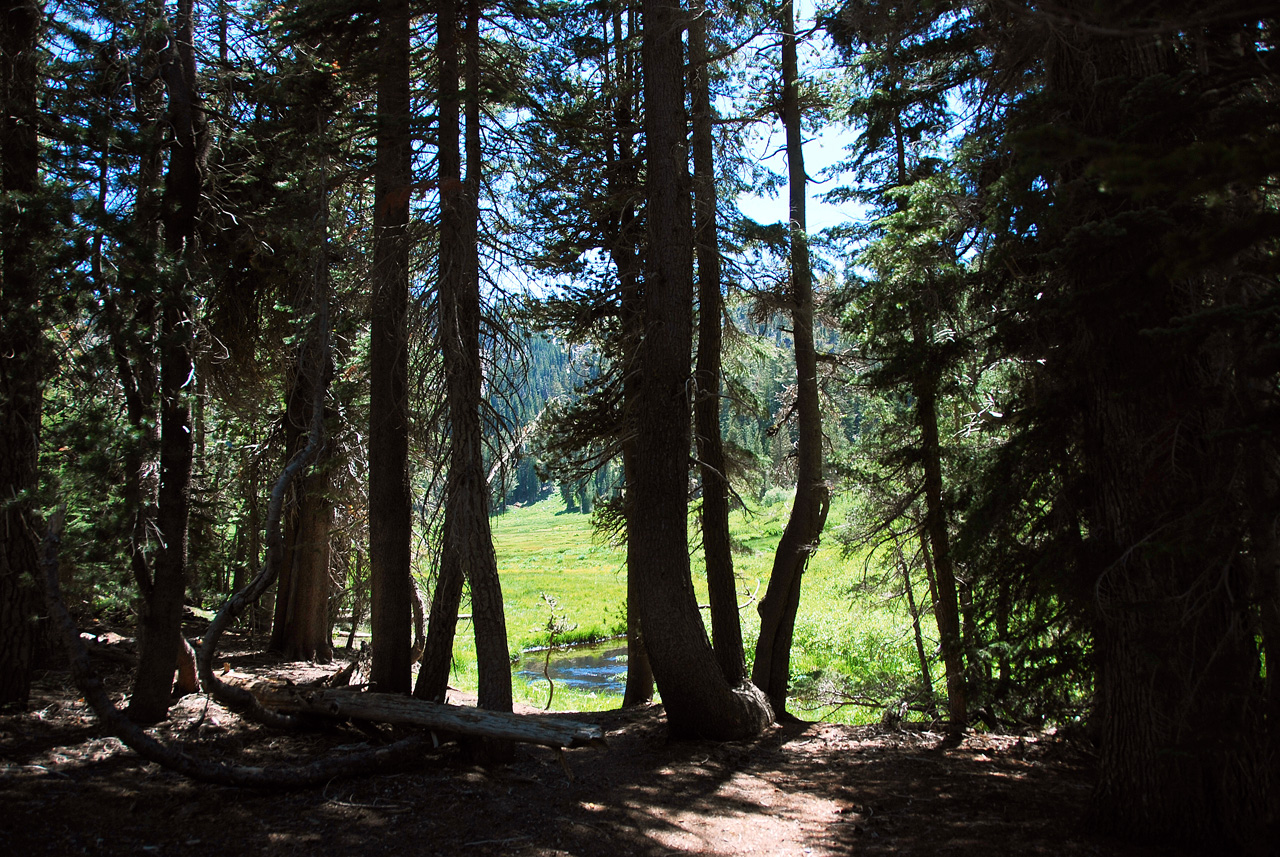 2013-06-30, 013, Paradise Meadow, CA