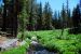 2013-06-30, 011, Paradise Meadow, CA