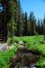 2013-06-30, 012, Paradise Meadow, CA