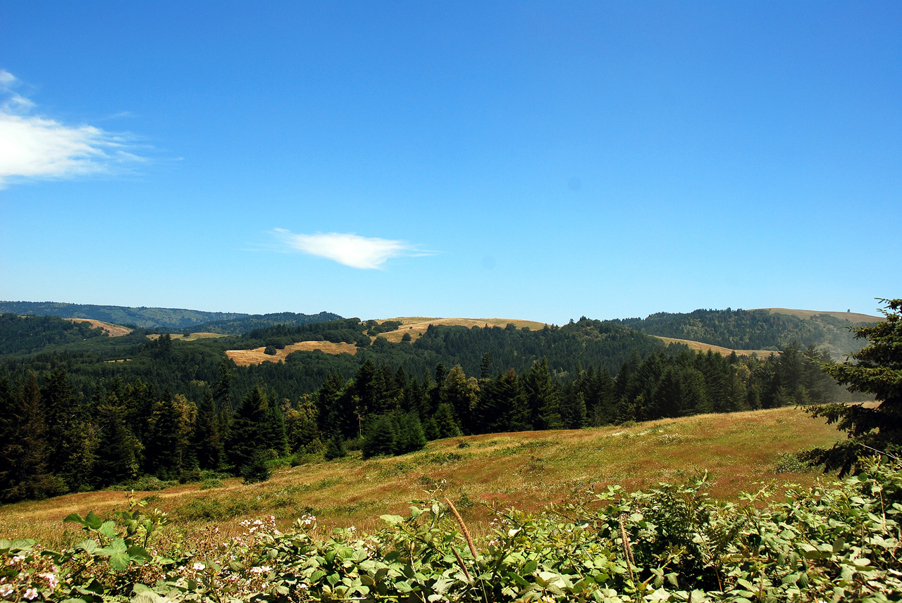 2013-07-08, 001, Along Bald Hills Rd, Redwood NP, CA