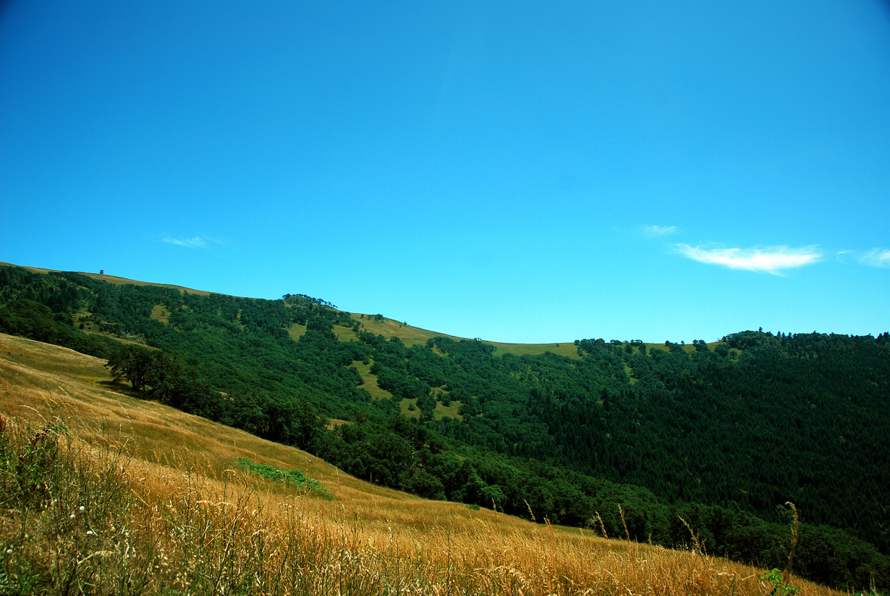 2013-07-08, 009, Along Bald Hills Rd, Redwood NP, CA