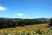 2013-07-08, 001, Along Bald Hills Rd, Redwood NP, CA