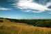 2013-07-08, 018, Along Bald Hills Rd, Redwood NP, CA