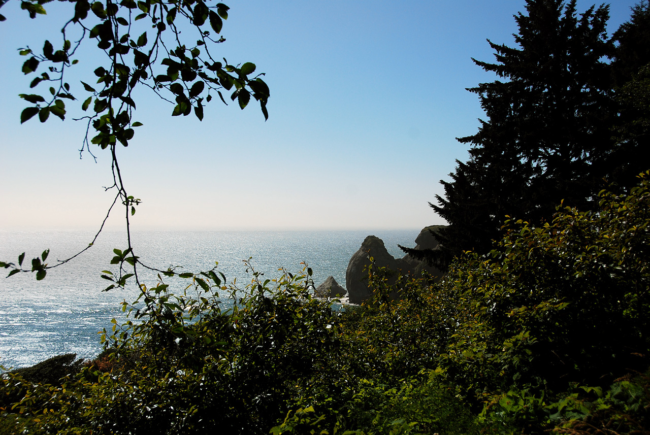 2013-07-05, 003, Beach along RT 101, Redwoods NP, CA