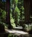 2013-07-05, 005, Road thru Jedediah Smith Redwoods SP, CA