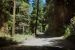 2013-07-05, 027, Road thru Jedediah Smith Redwoods SP, CA