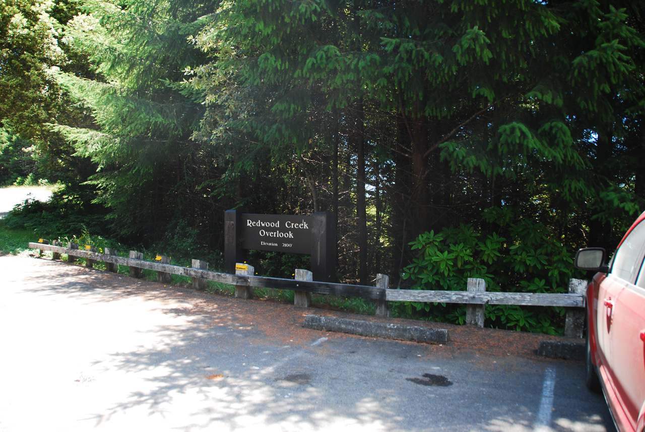 2013-07-08, 001, Redwood Creek Overlook, Redwood NP, CA