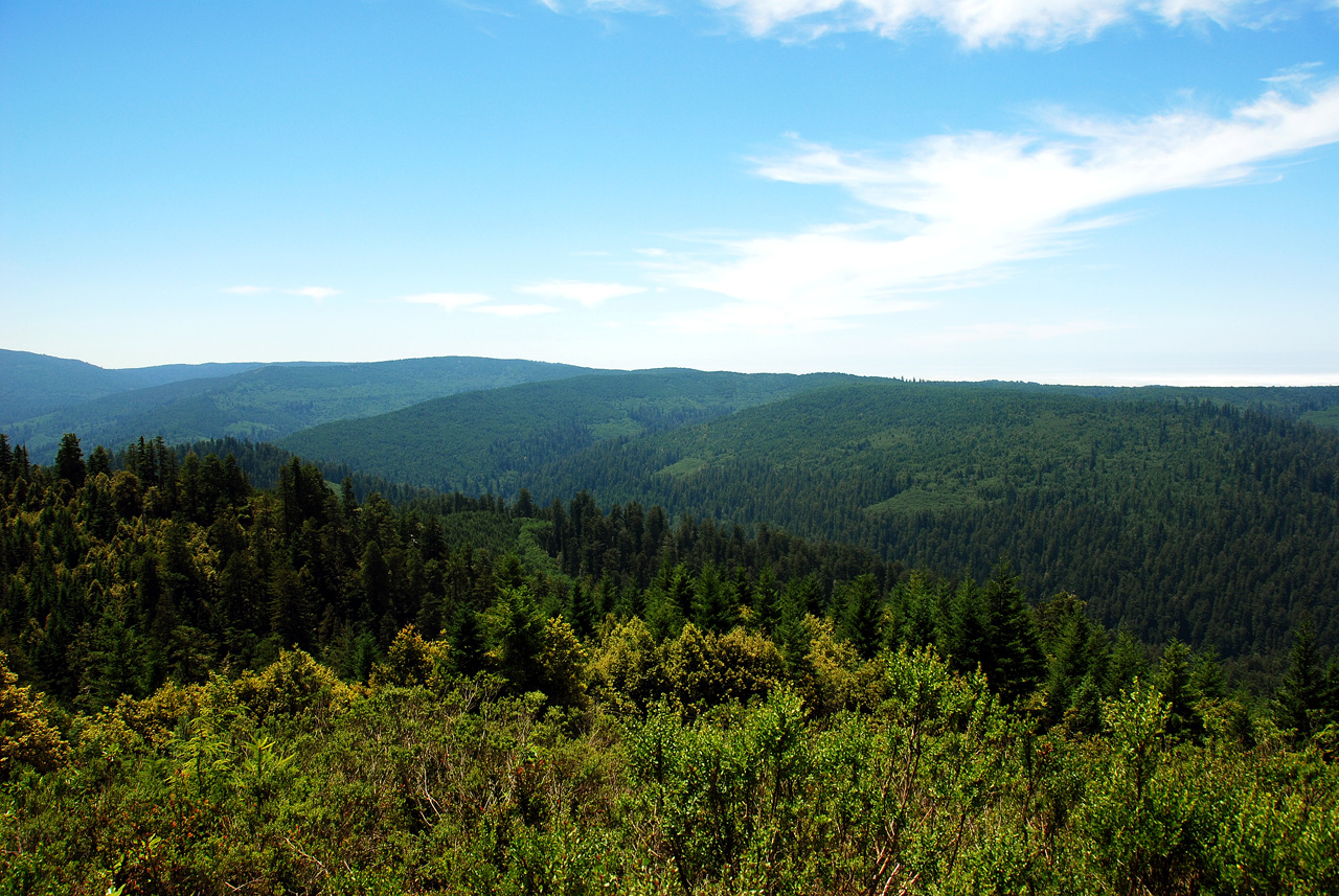 2013-07-08, 006, Redwood Creek Overlook, Redwood NP, CA