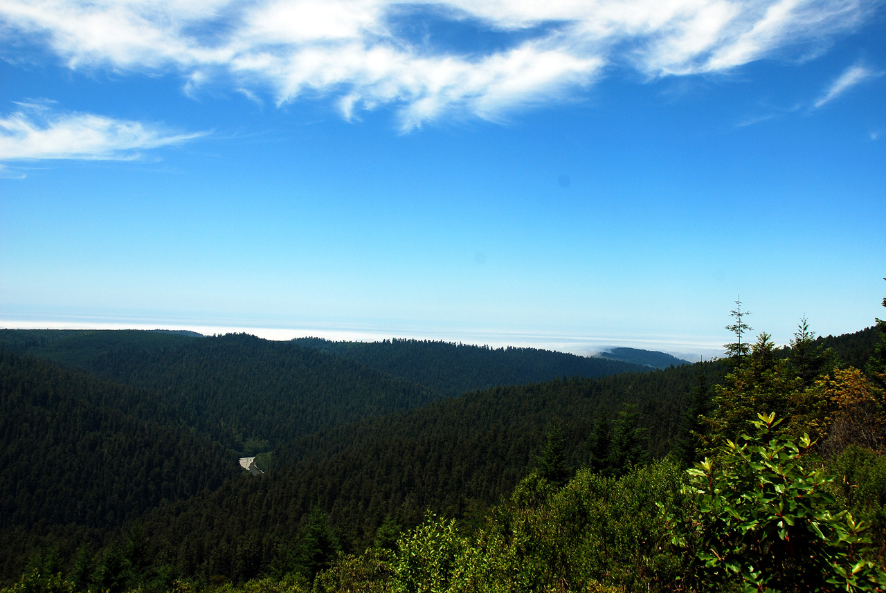 2013-07-08, 009, Redwood Creek Overlook, Redwood NP, CA