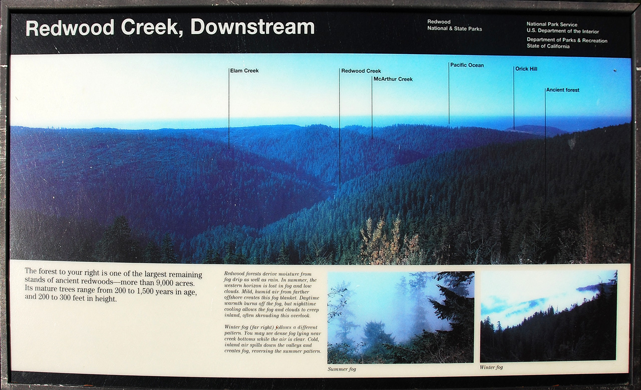 2013-07-08, 010, Redwood Creek Overlook, Redwood NP, CA