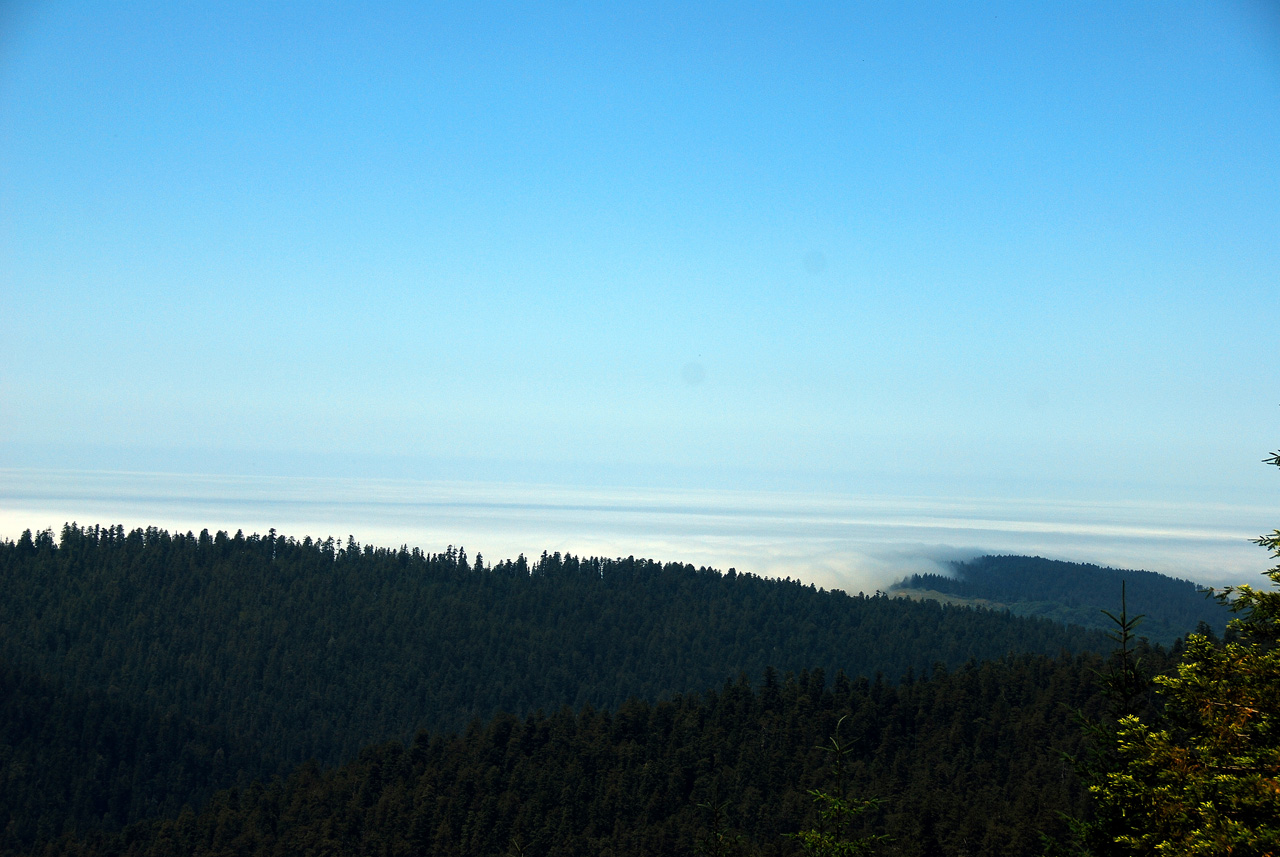 2013-07-08, 012, Redwood Creek Overlook, Redwood NP, CA