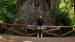 2013-07-06, 002, Big Tree, Praire Cheek Redwood SP, CA