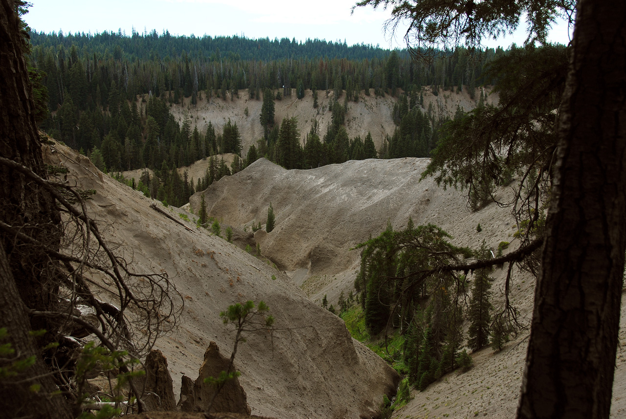 2013-07-16, 028, Godfrey Glen Trai, Crater Lake NP, OR