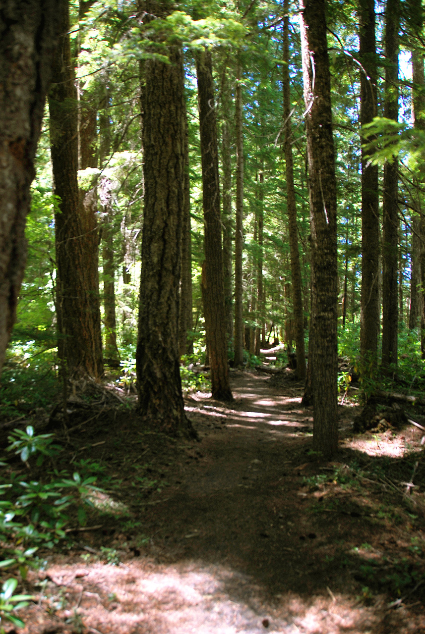 2013-07-14, 001, Warm Spring Falls, Umpqua, OR