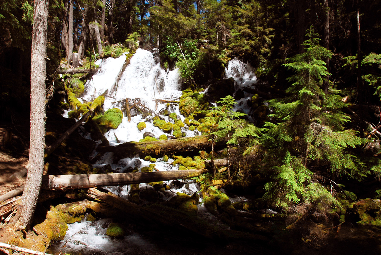 2013-07-14, 004, Clearwater Falls, Umpqua, OR