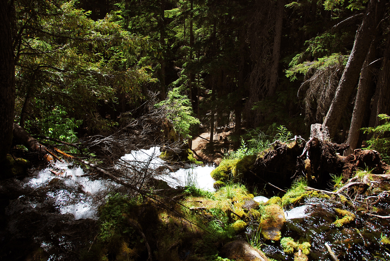 2013-07-14, 009, Clearwater Falls, Umpqua, OR