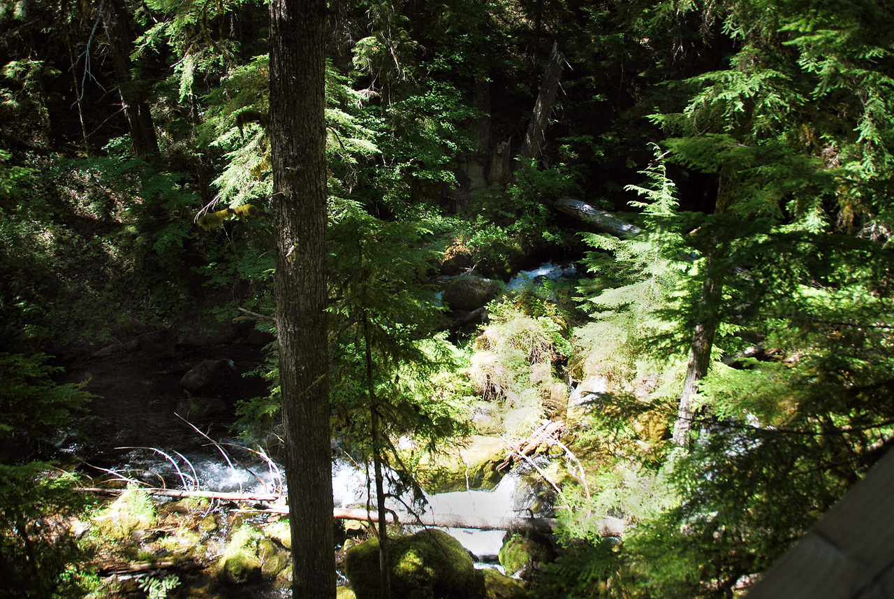 2013-07-14, 020, Whitehorse Falls, Umpqua, OR