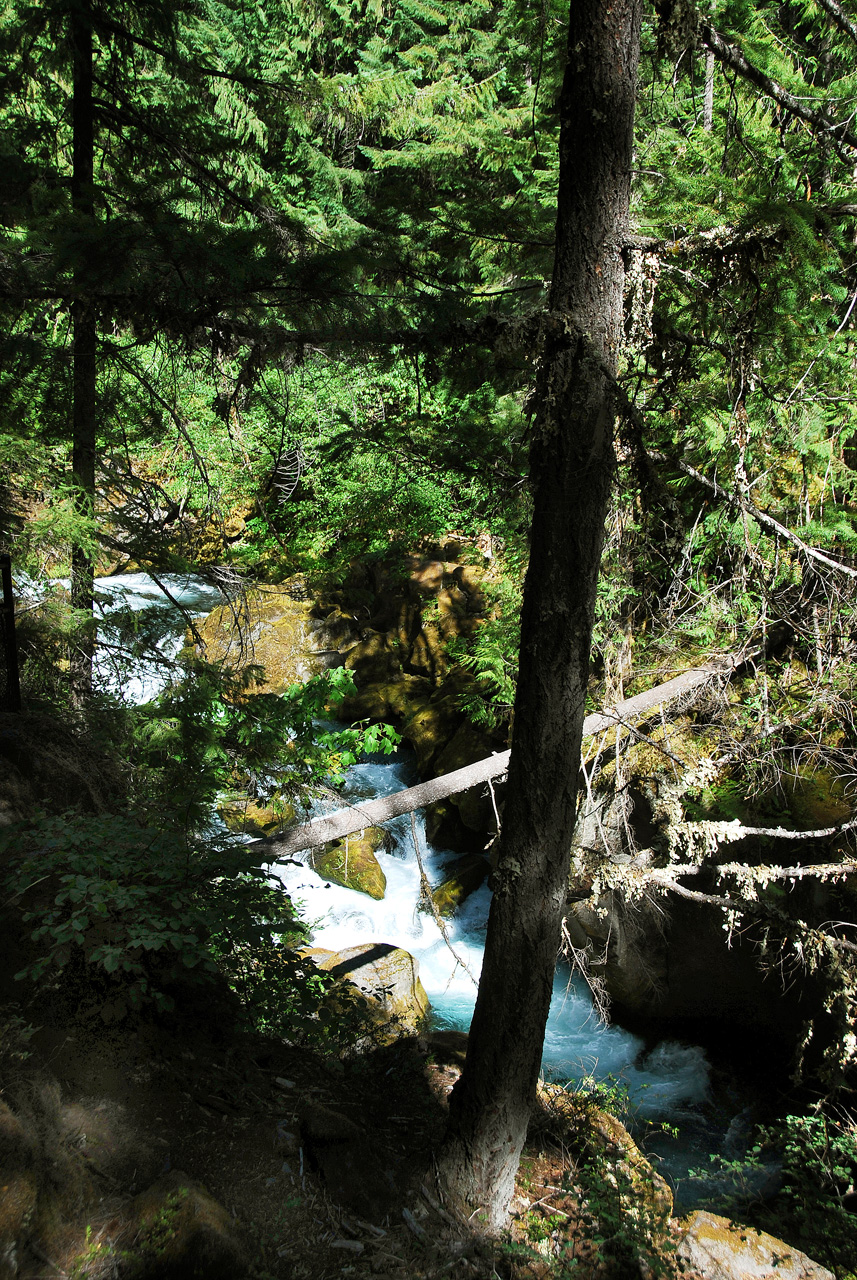 2013-07-14, 039, Toketee Falls, Umpqua, OR